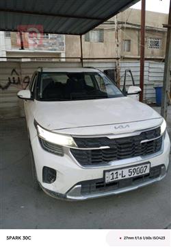 کیا سێلتۆس
